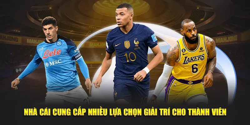 Thể thao VM88 cung cấp nhiều lựa chọn giải trí cho thành viên